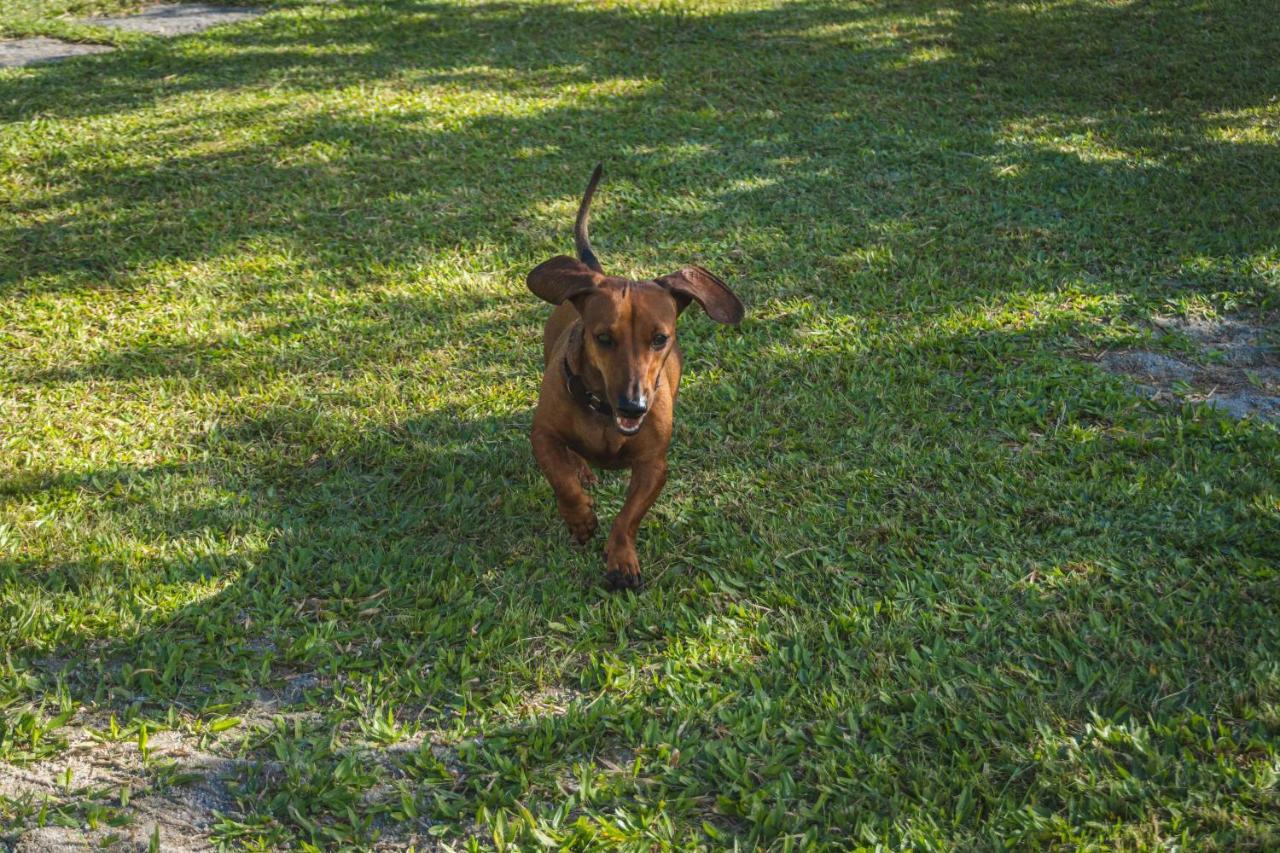 Casa Vista Para Montanha Pet Friendly Caraguatatuba Eksteriør bilde